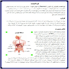 تحقیق دانش آموزی لوزالمعده