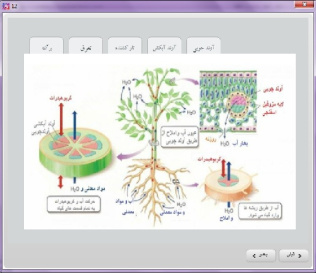 دنیای گیاهان