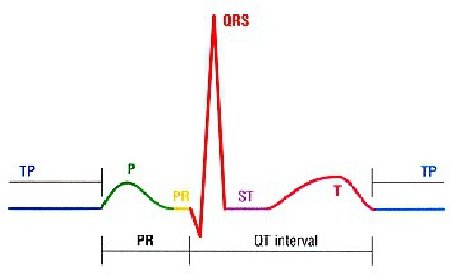 پاورپوینت کامل و جامع با عنوان مبانی تفسیر الکتروکاردیوگرام (ECG) و ثبت فعالیت الکتریکی قلب در 90 اسلاید