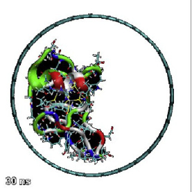 (از سری آموزش های بیوفیزیک) شبیه سازی ذخیره سازی یک پپتید (یا پروتئین) در نانولوله کربنی با لمپس - بر اساس مقاله ۲۰۰۹ با ایمپکت ۹ - کاربرد در دارورسانی هوشمند