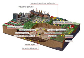 آلودگی شیمیایی و نقش کودهای معدنی و آلی در آلودگی خاک