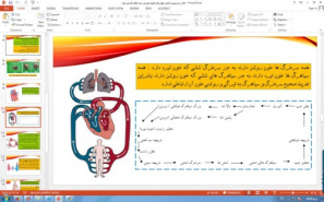 پاورپوینت فصل چهاردهم علوم تجربی پایه هفتم گردش مواد