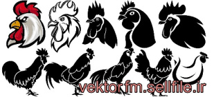 وکتور مرغ-لگوی مرغ-خروس-لگوی پروتئینی-وکتور پرنده-لگوی پرنده-فایل کورل