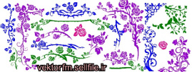 وکتور گل-گل رز-شاخ و برگ-گنجشک-حاشیه-کناره-طرح گل-فایل کورل