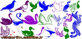 وکتور کبوتر-کفتر-طاووس-قو-پرستو-اردک-وکتور پرنده-لگوی پرنده-فایل کورل