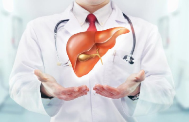 پاورپوینت کبد liver