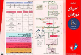 پوستر احیای نوزادان (neonatal resuscitation) - پوستر NRP