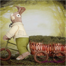بک دراپ نوزاد خرگوش دوچرخه سوار -کد 658