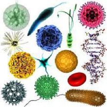تحقیق درباره آشنایی با رشته میکروبیولوژی