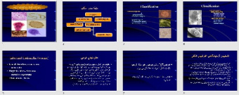 پاورپوينت با عنوان عفونت Helminths infection