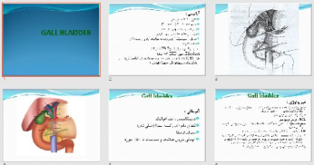 پاورپوينت با عنوان کیسه صفرا GALL BLADDER