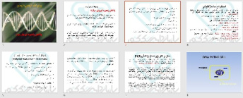 پاورپوينت با عنوان واکنش زنجیره ای پلی مراز PCR