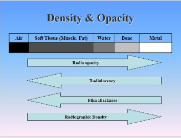 پاورپوينت با عنوان رادیولوژی دامپزشکی ، VETERINARY RADIOLOGY Density & Opacity