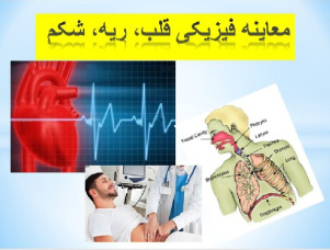 پاورپوينت با عنوان معاینه فیزیکی قلب، ریه، شکم