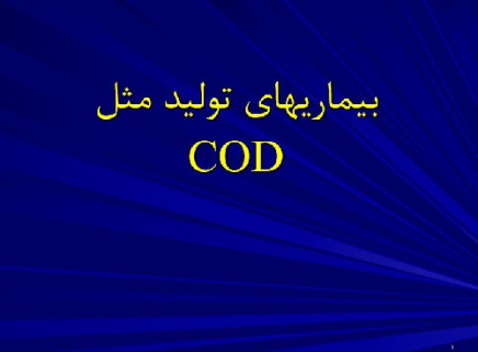 پاورپوينت با عنوان بيماريهاي توليد مثل COD گاو