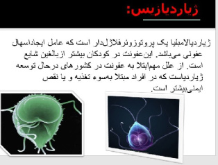 پاورپوينت با عنوان بیماریهای انگلی