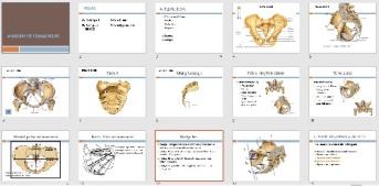 پاورپوينت با عنوان ANATOMY OF FEMALE PELVIC به زبان انگلیسی