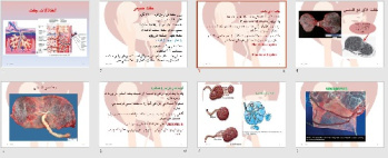 پاورپوينت با عنوان اختلالات جفت