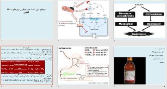 پاورپوينت با عنوان داروهای مورد استفاده در درمان بیماری های دستگاه گوارش