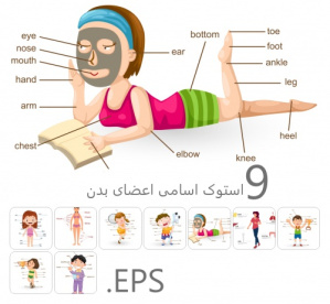 9 استوک با فرمت EPS اسامی اعضای بدن