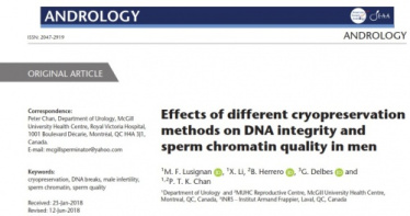 ترجمه مقاله تخصصی با عنوان Effects of different cryopreservation methods on DNA integrity and sperm chromatin quality in men