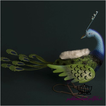 بک دراپ نوزاد طاووس -کد 3360