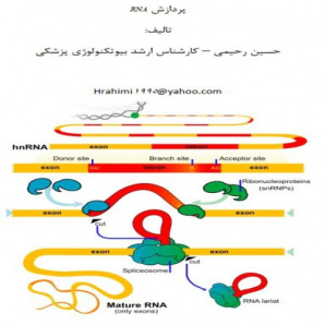 جزوه آموزش کامل ‍‍پردازش RNA