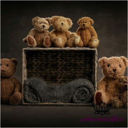 بک دراپ نوزاد جعبه حصیری و خرسای پشمالو-کد 3937