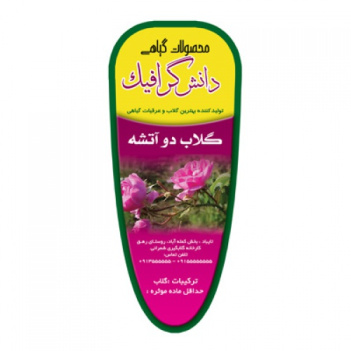 طرح لایه باز گلاب قالب دار (عرقیات دارویی)