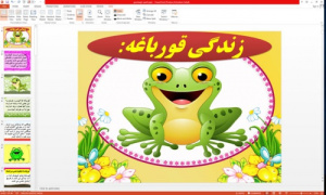 پاورپوینت درباره زندگی قورباغه در 40 اسلاید