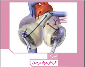 فایل صوتی فصل سوم و چهارم زیست شناسی دهم