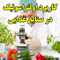 كاربرد اولتراسونيك در صنايع غذايي