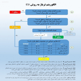 پوستر الگوریتم تریاژ به روش ESI ویرایش شده توسط پزشک مناسب برای چاپ با کیفیت بالا