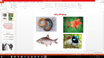 پاورپوینت درس سیزدهم علوم مقطع چهارم ابتدایی موجودات زنده