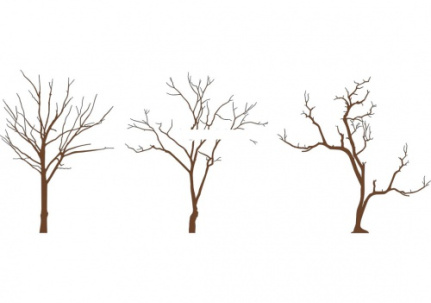 فایل اتوکد آبجکت درختان زمستانی