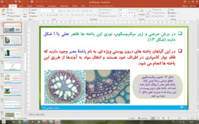 پاورپوینت گفتار 3 زیست شناسی دهم تجربی: انتقال مواد در گیاهان (جذب و انتقال مواد در گیاهان)