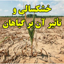 خشکسالی و تأثیر آن بر گیاهان