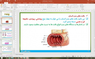 پاورپوینت گفتار 3 زیست شناسی دهم تجربی: یاخته و بافت در بدن انسان (دنیای زنده)