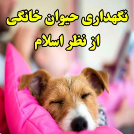 نگهداری حیوان خانگی از نظر اسلام