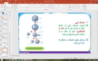 پاورپوینت گفتار 2 زیست شناسی پایه یازدهم تجربی: دستگاه تولید مثل در زن  (فصل 7 تولید مثل)