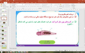 پاورپوینت گفتار 4 زیست شناسی پایه یازدهم تجربی: تولید مثل در جانوران  (فصل 7 تولید مثل)