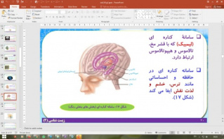 پاورپوینت گفتار 1 زیست شناسی پایه یازدهم تجربی: یاخته های بافت عصبی (فصل 1 تنظیم عصبی)