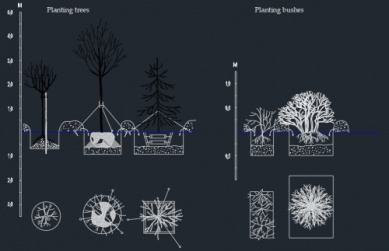 فایل اتوکد طراحی جزئیات کاشت درخت و بوته