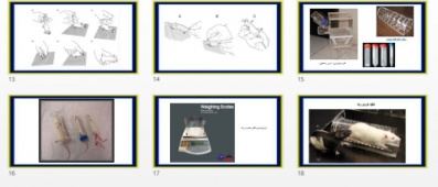 فایل پاورپوینت مقید کردن حیوانات آزمایشگاهی