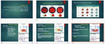 فایل پاورپوینت آزمایش بررسی همولیزاسموتیک اریتروسیتی یا بررسی شکنندگی غشاء گلبول های قرمز