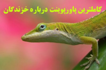 کامل ترین پاورپوینت درباره زندگی خزندگان در 61 اسلاید