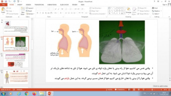 پاورپوینت درس 10 علوم تجربی پایه چهارم دبستان (ابتدایی): بدن ما (2)