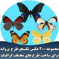 مجموعه 200 عکس تکسچر طرح پروانه برای ساخت طرح های مختلف گرافیک