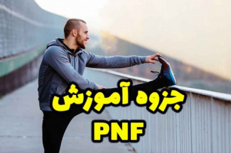 آموزش کامل PNF