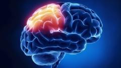 کدهای رایج در مغز و اعصاب PPT